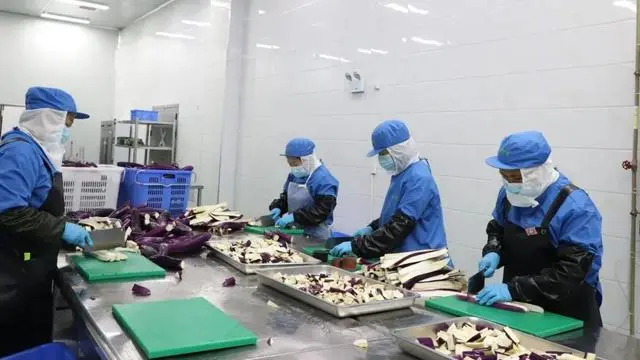 贵阳农产品物流园鲜冻蔬菜加工项目投产