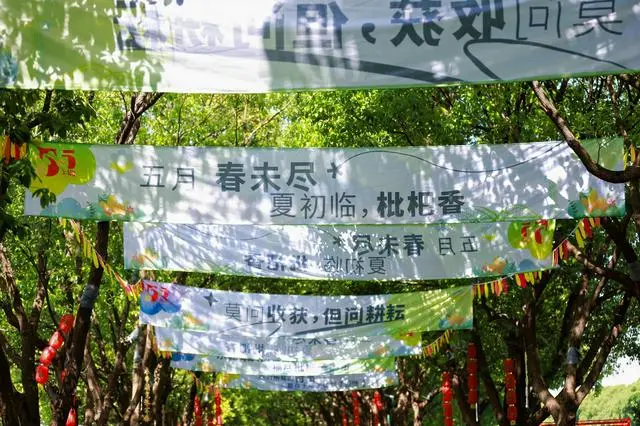 第十二届夏阳枇杷文化旅游节暨优质农产品田园集市活动开幕