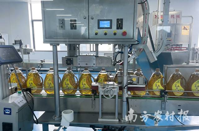 河源发展油茶产业