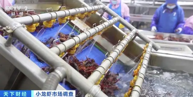 小龙虾产业冷链加工延长销售周期出圈