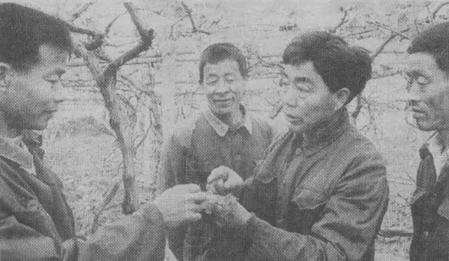 从努力一亩三分地到快速流通全世界,祖孙三代接力拼图“水果王国”