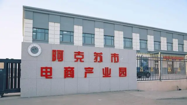 杭州全额援建的阿克苏市电商产业园开园