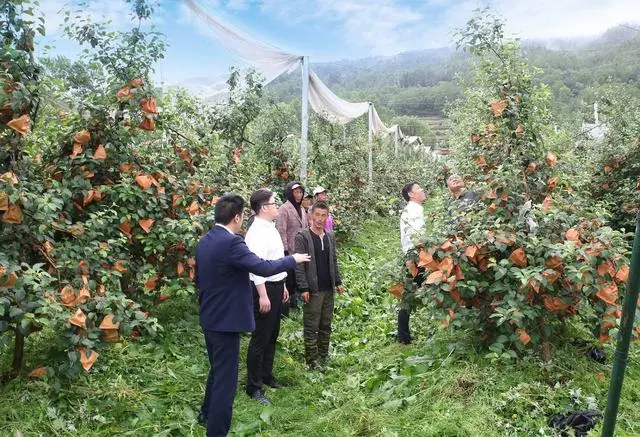 凉山州特色农产品产销对接入驻连锁超市