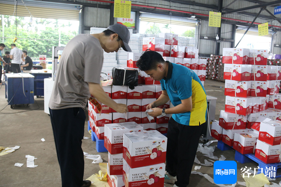 快递企业开通首条低空运输航线 助力海口荔枝快速送达