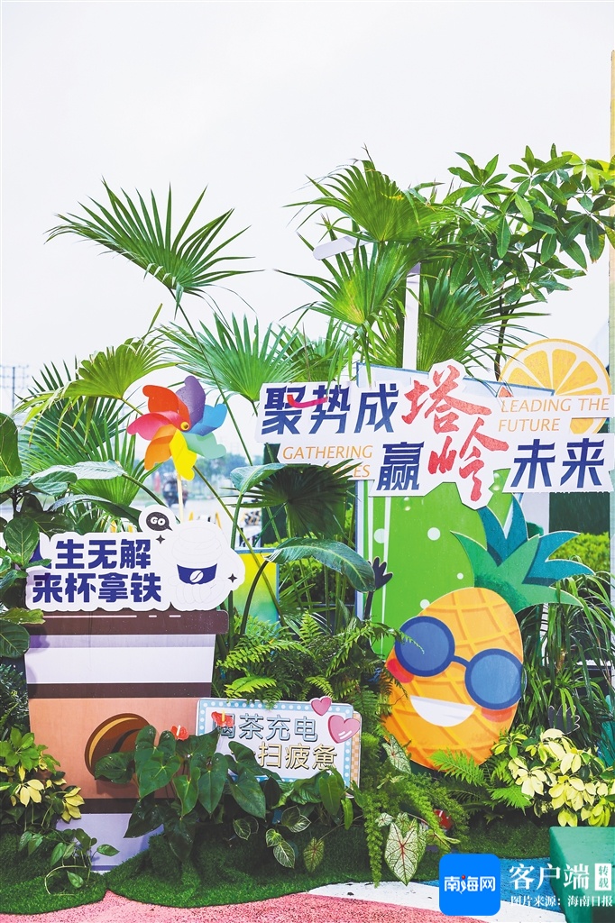 定安塔岭工业园产业供应链