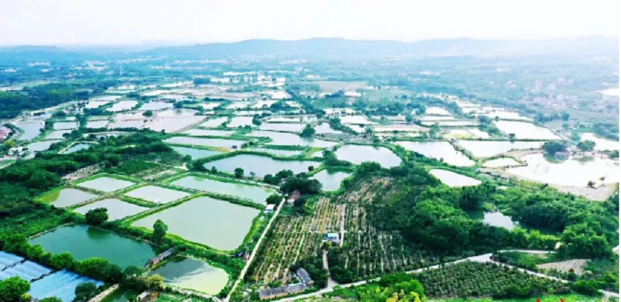 盘点广州市花都区产业链