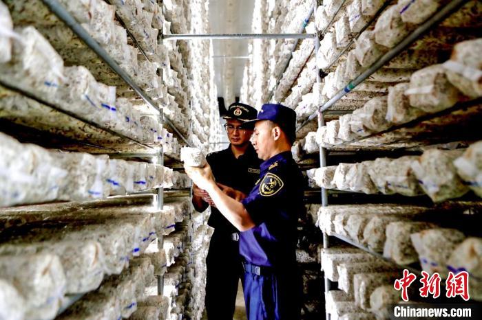 武汉海关助力湖北特色农产品走出国门
