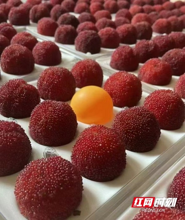 快递企业助力靖州杨梅直达227个城市