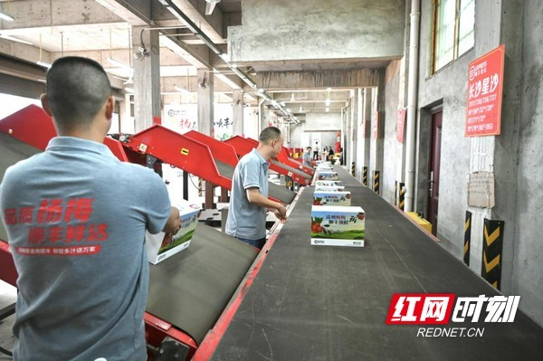 快递企业助力靖州杨梅直达227个城市