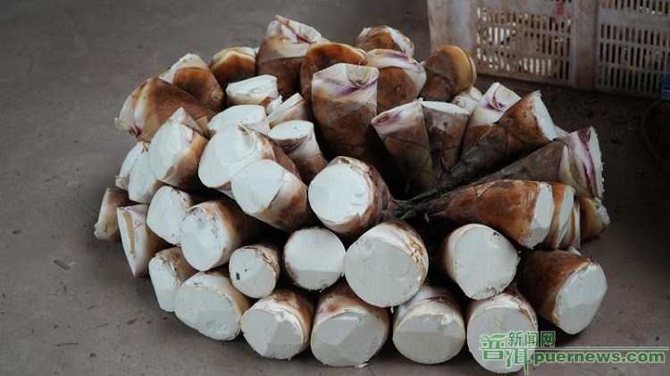 思茅甜龙竹产业链