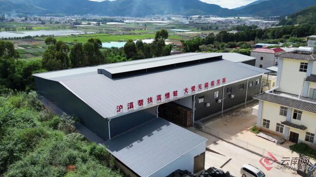 云南石屏杨梅产地冷链物流锁鲜发全国