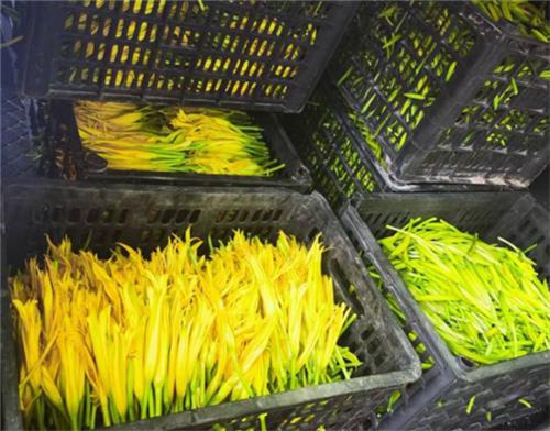 农产品冷链物流网贵州农产品产销信息