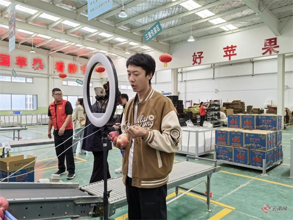 甘肃德美地缘冷链物流产业园引领林果产业提质增效