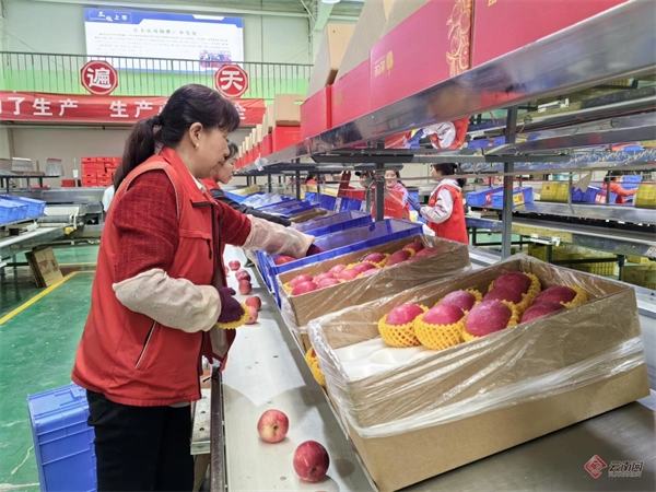甘肃德美地缘冷链物流产业园引领林果产业提质增效