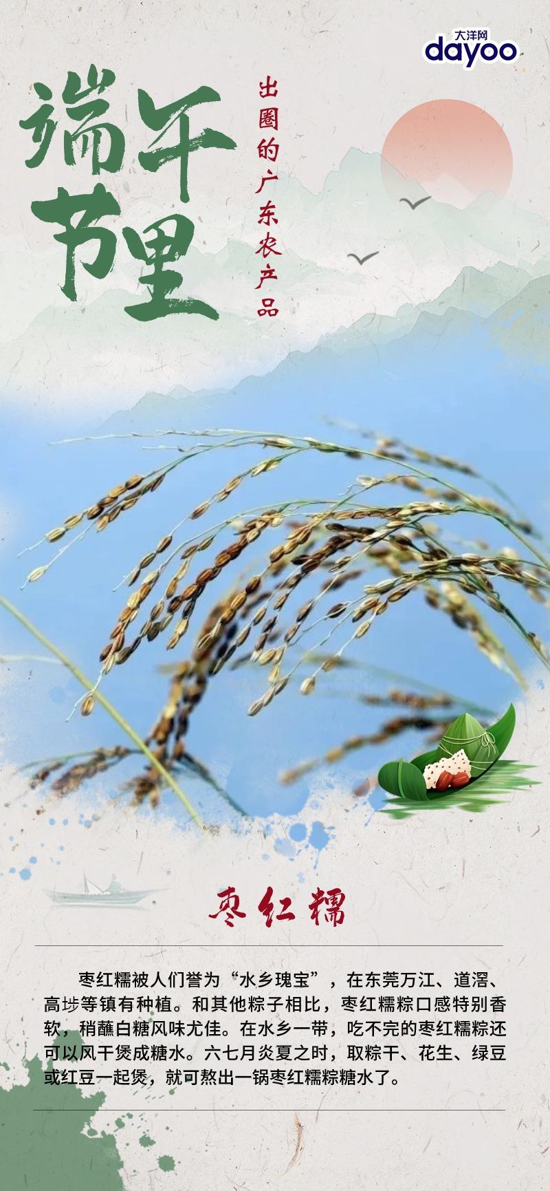 第一农产品盘点端午节里出圈的广东农产品