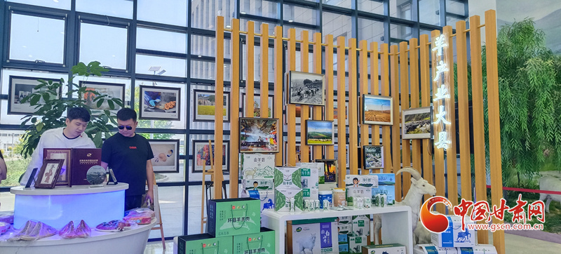 环县“六统一”模式 农产品电商发展提档升级