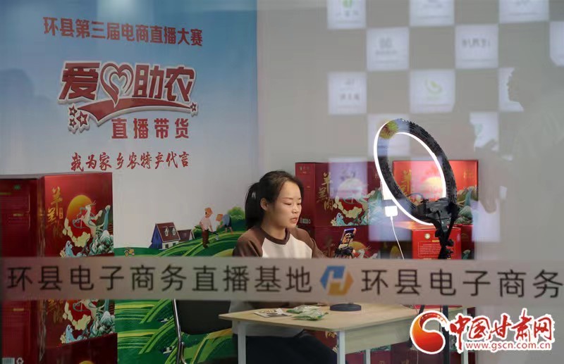 环县“六统一”模式 农产品电商发展提档升级