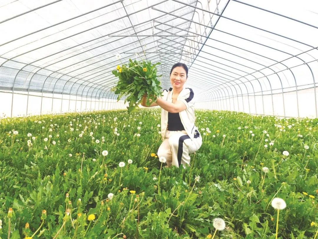 邯郸磁县企业家为农产品代言