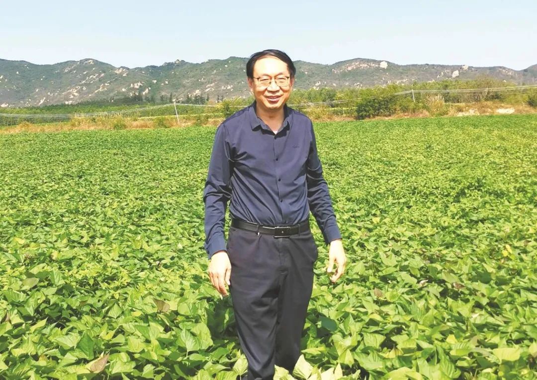 邯郸磁县企业家为农产品代言