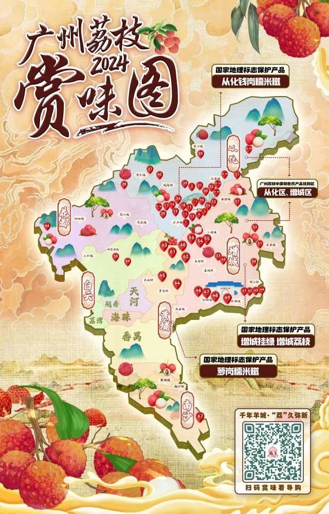 广州荔枝6月下旬将集中上市