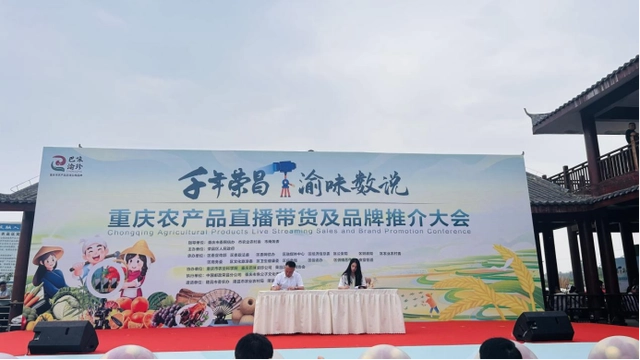 重庆农产品直播带货及品牌推介大会举行