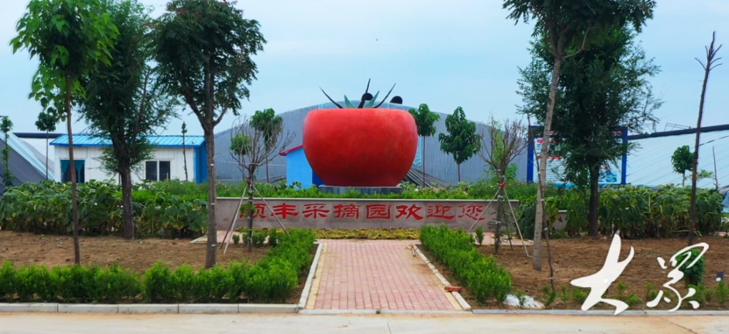 农产品价格走低,农民如何寻找新路子