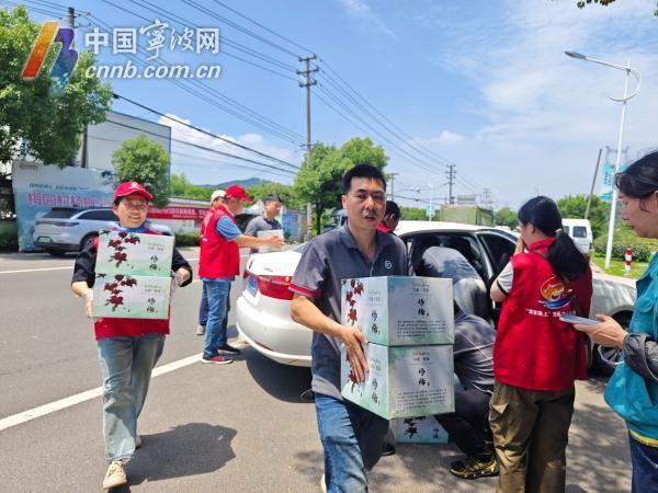 宁波杨梅冷链专车迎来杨梅寄递高峰