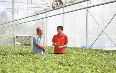 冷链物流联通城乡市场 助力增产增收