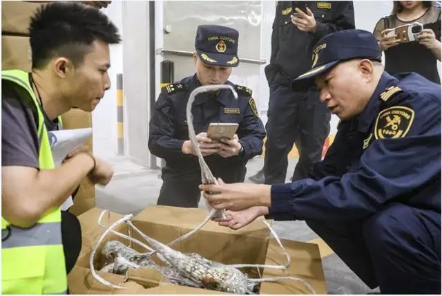 重庆铁路口岸迎首次进口冻品水产