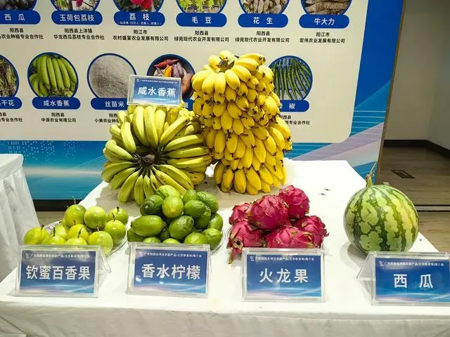 阳西名特优农产品亮相新发地批发市场