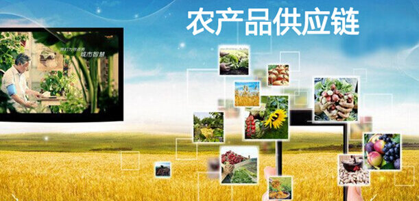 第一农产品供应链产销对接(06-27)