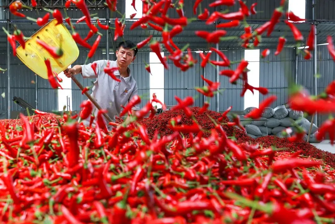 毕节市优质农产品纷纷“出国”