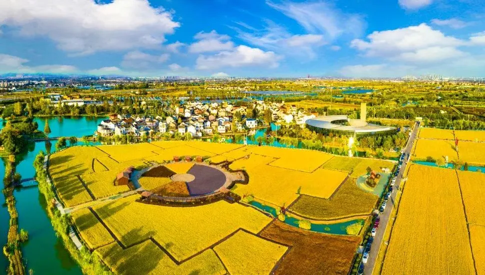 江苏省南京市高淳区现代农业产业园