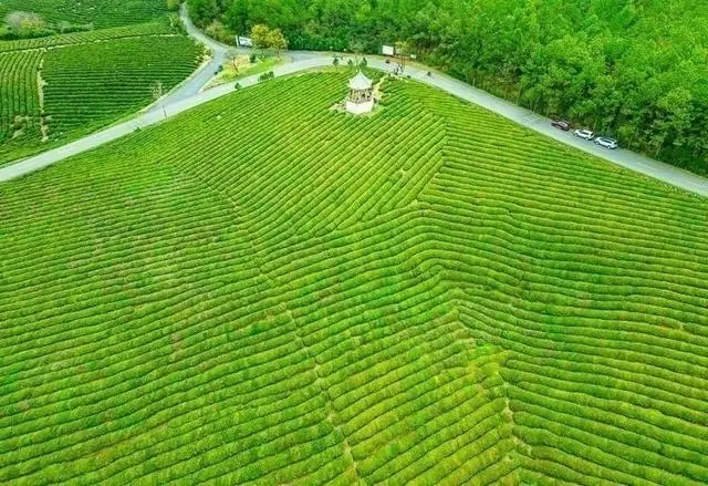 江苏省南京市高淳区现代农业产业园