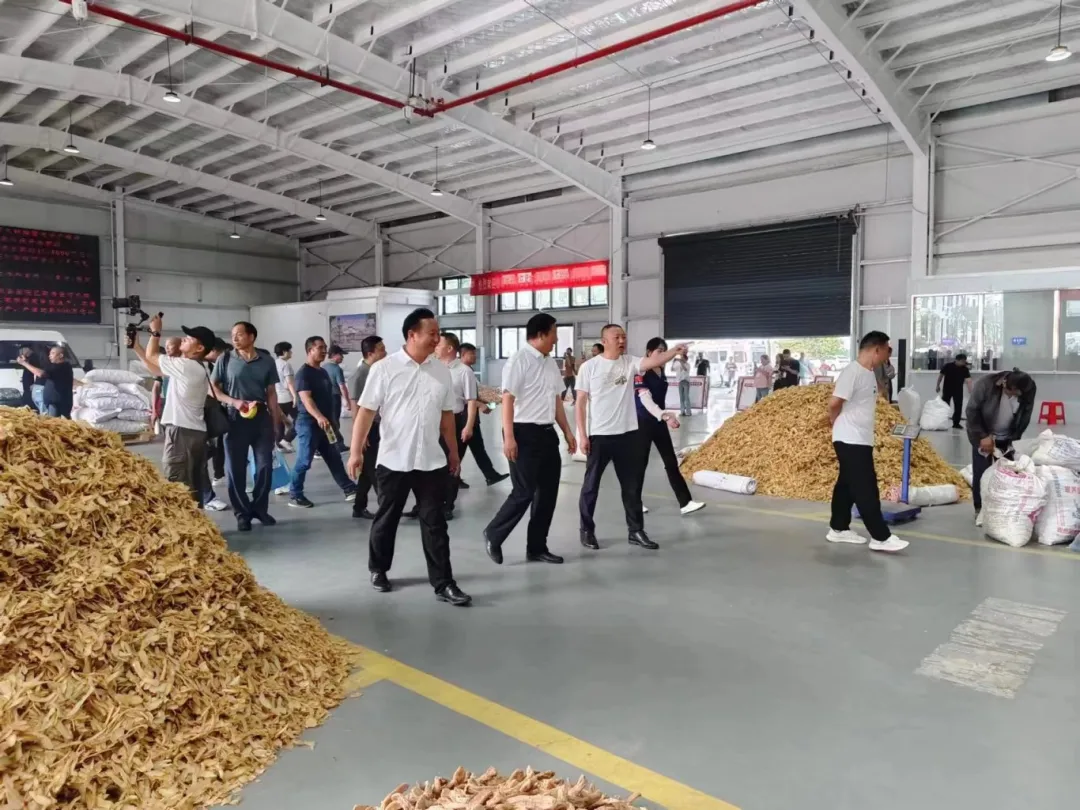 大别山道地药材产业园开启常态化交易模式