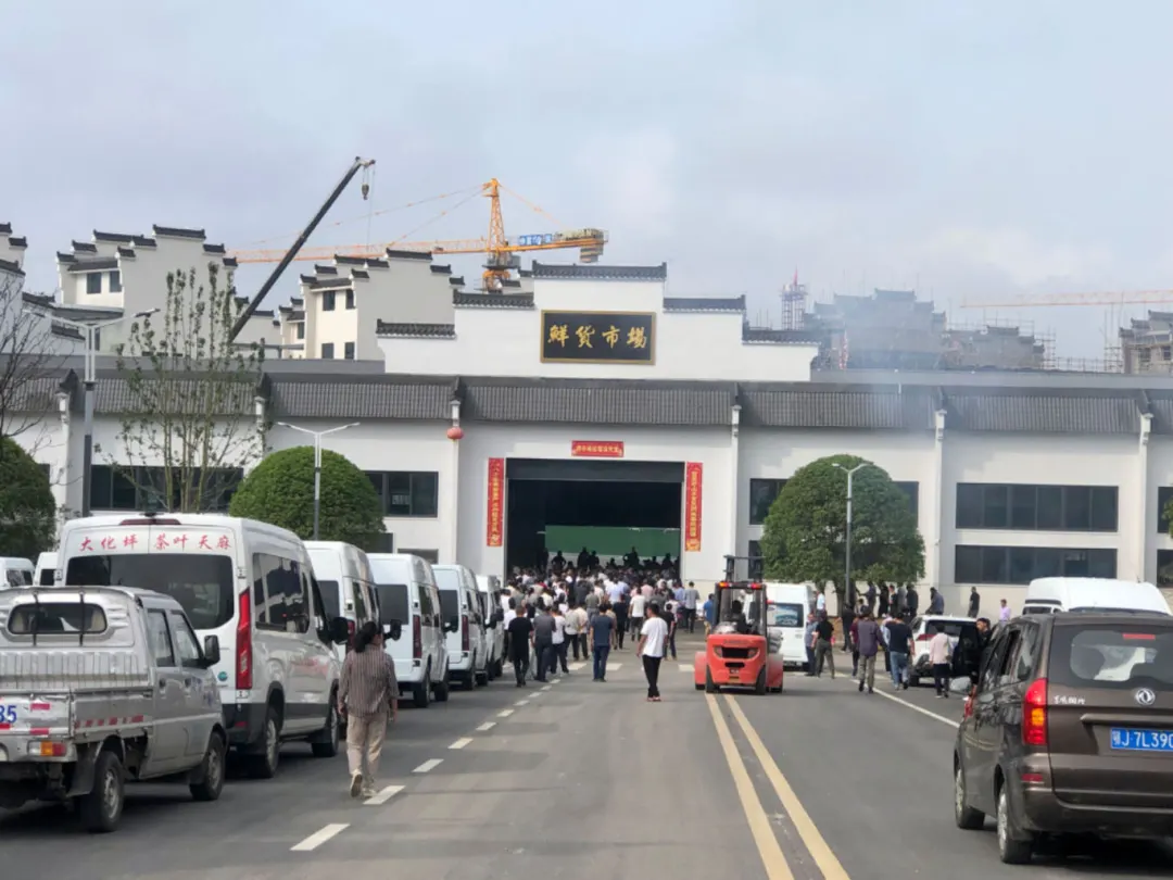 大别山道地药材产业园开启常态化交易模式