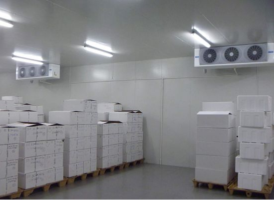 冷冻仓储中如何确保物品的质量和安全