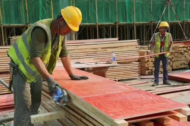 黑龙江宝清冷链物流项目建设快报