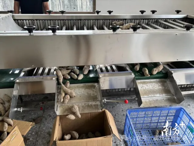 高州云潭镇农产品展销中心开业