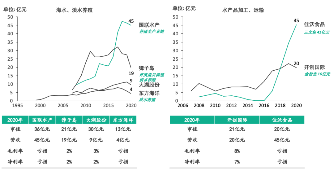 冷链水产市场研究及冷链细分赛道分析报告