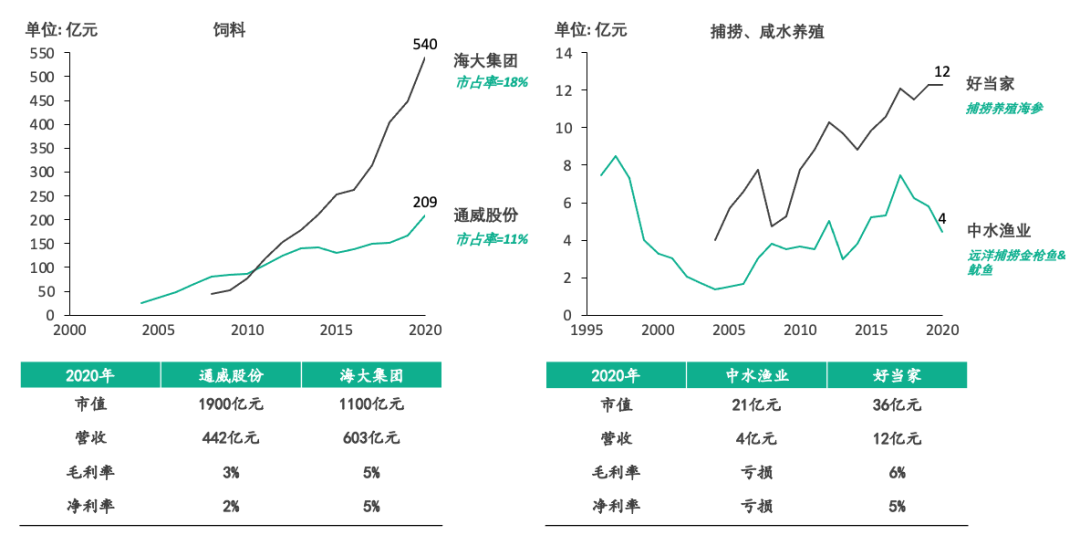 冷链水产市场研究及冷链细分赛道分析报告