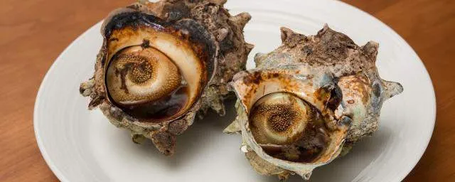 水产品食材供应链海螺肉进口业务如何操作