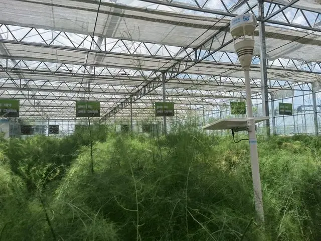 江西省赣州建起了一座现代农业产业园