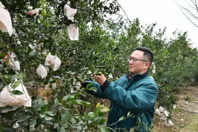 冷链快递物流卷鲜果赛道破盈利难题