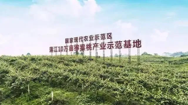 冷链快递物流卷鲜果赛道破盈利难题