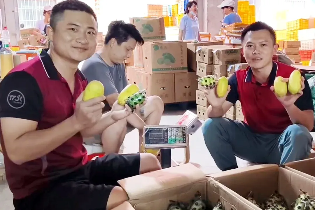冷链快递物流卷鲜果赛道破盈利难题