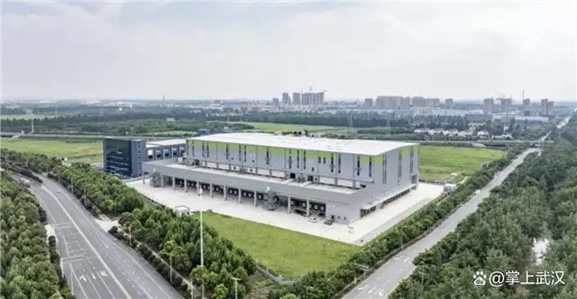 鲜丰水果武汉智慧冷链物流中心即将投入运营全球鲜果直达餐桌