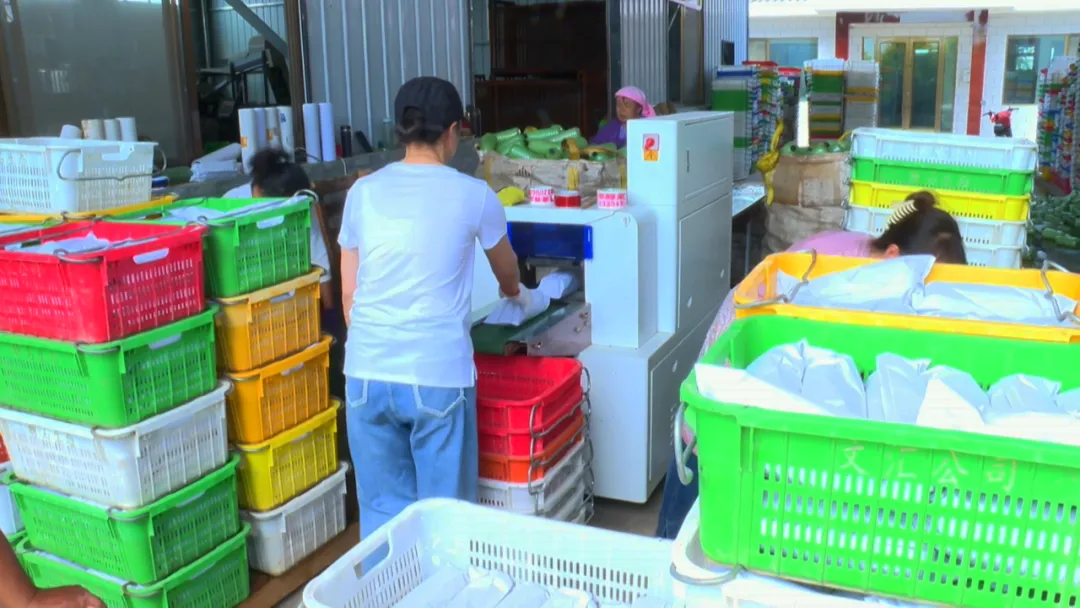 冷链快报：高台产地“冰箱”让农产品保鲜增值