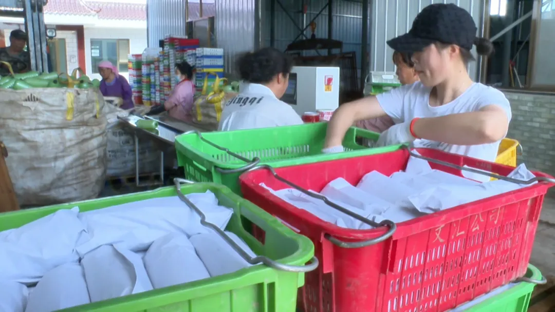 冷链快报：高台产地“冰箱”让农产品保鲜增值