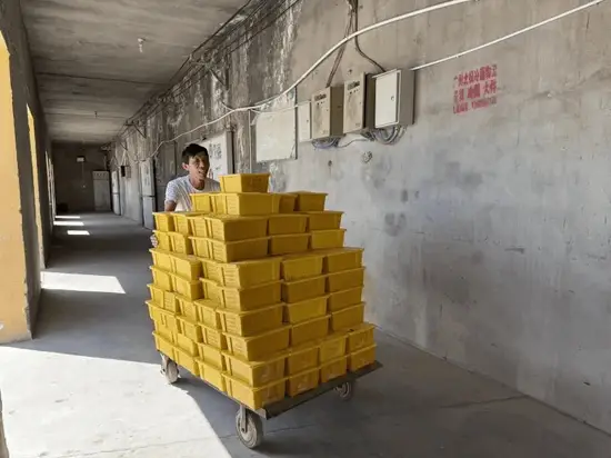 亚尔村冷库保鲜助力鲜食葡萄“走四方”